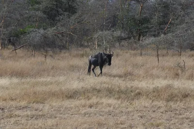 DSC_3409 (Large).JPG